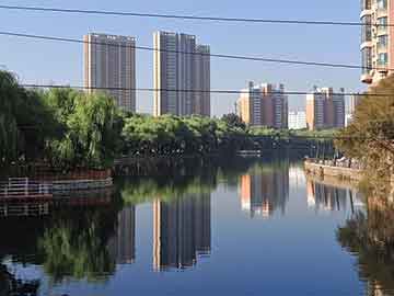 双11购物狂欢下的白前草市场趋势与价格分析，最新价格要求揭秘