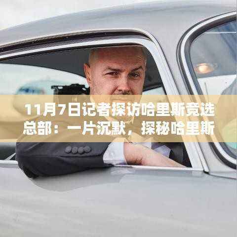 哈里斯竞选总部探秘,沉默小巷与背后特色小店的神秘面纱