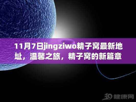 温馨之旅揭秘,精子窝新篇章与日常故事