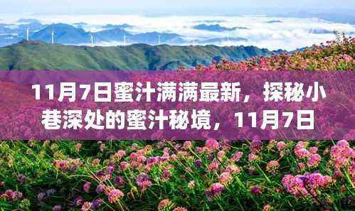 探秘小巷深处的蜜汁秘境,揭秘最新特色小店,蜜汁满满的美食之旅(11月7日)