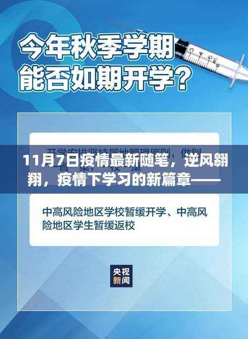逆风翱翔,11月7日疫情下的学习新篇章随笔