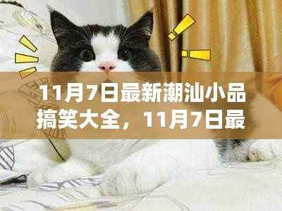 潮汕小品搞笑集锦,文化魅力中的欢笑时光