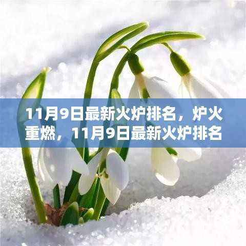 11月9日最新火炉排名深度解析,炉火再度重燃