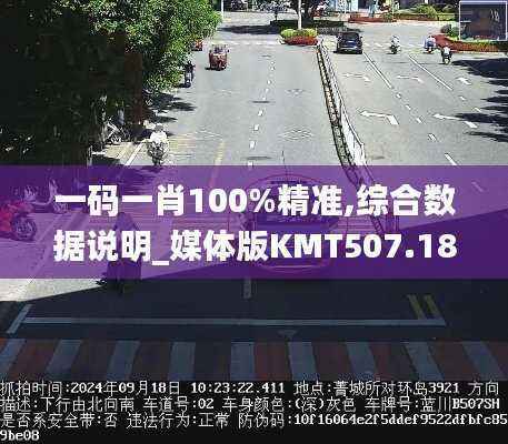 一码一肖100%精准,综合数据说明_媒体版KMT507.18