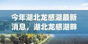 湖北龙感湖畔夏日温馨故事,友情、爱与陪伴的传奇之旅