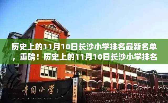 揭秘历史11月10日长沙小学最新排名榜单!重磅揭晓!