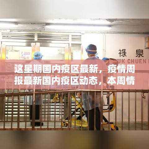 本周国内疫区最新动态深度解析,疫情周报与最新情况概览