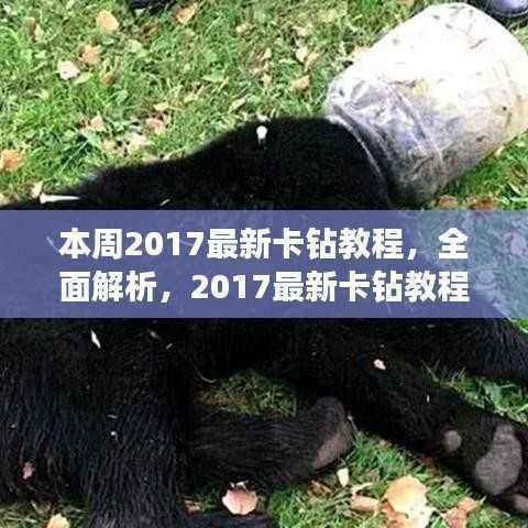 2017最新卡钻教程详解,本周评测与介绍