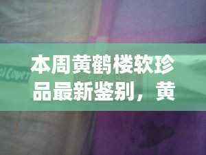 本周黄鹤楼软珍品最新鉴别指南,见证变化的力量与智慧魅力