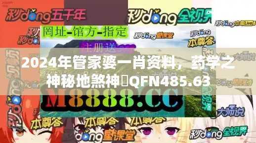 2024年管家婆一肖资料,药学之神秘地煞神衹QFN485.63
