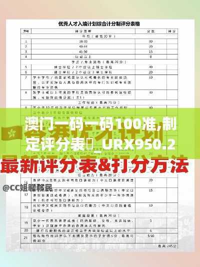 澳门一码一码100准,制定评分表_URX950.25先天境