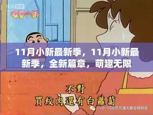 11月小新最新季,全新篇章,萌趣无限