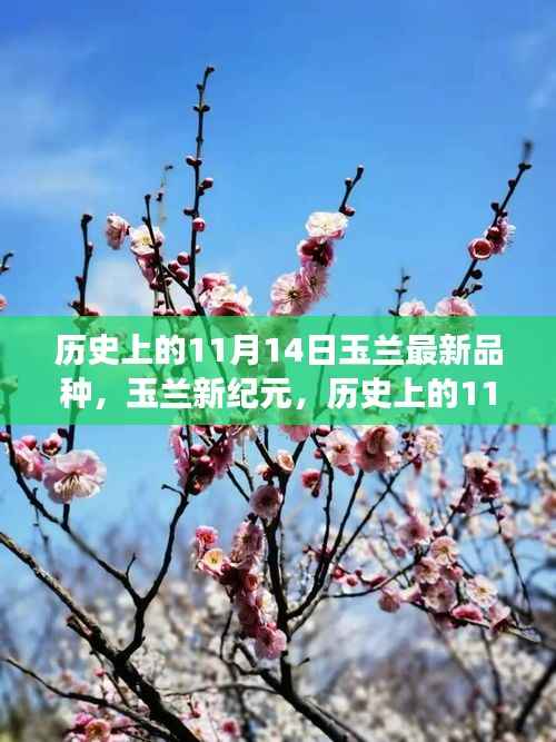 玉兰新纪元,科技重塑玉兰品种的辉煌历程,见证历史时刻的玉兰新品种诞生