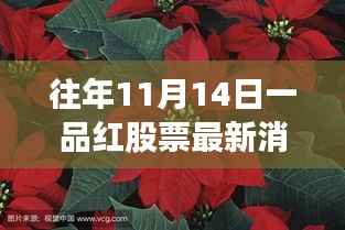 花开无言 第32页