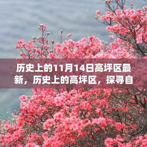 11月14日探寻高坪区历史与自然美景之旅启程启幕