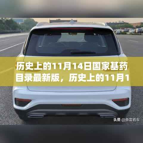 国家基药目录最新演变,历史上的11月14日回顾与解析
