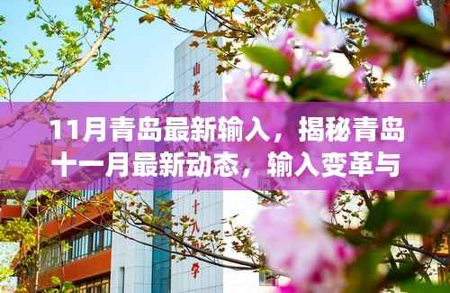 揭秘青岛十一月最新动态,输入变革与多元发展展露新姿