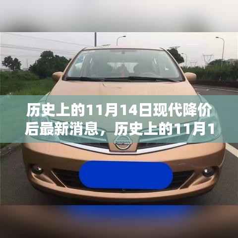 历史上的11月14日与现代降价趋势的深度解析与最新动态阐述