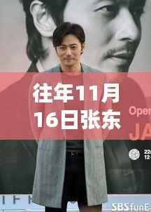 张东健最新电视剧观看指南,往年11月16日剧集详细步骤与攻略分享