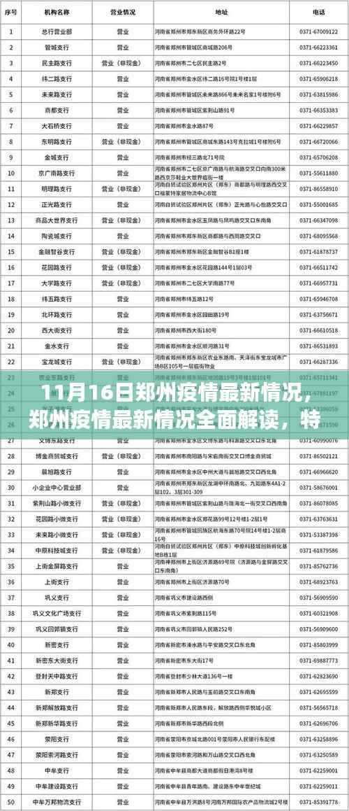 郑州疫情最新动态,全面解读、特性分析、竞品对比与用户洞察