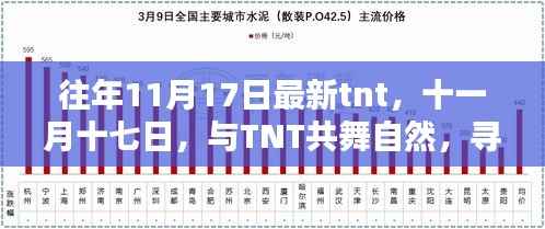 十一月十七日TNT之旅,与自然共舞,探寻宁静港湾的奥秘