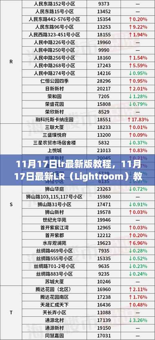 11月17日最新Lightroom(LR)教程大全,从入门到精通的详细指南