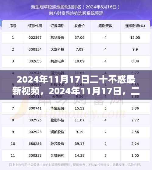 二十不惑最新视频解析与探讨,2024年11月17日更新内容揭秘