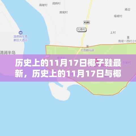 历史上的11月17日与椰子鞋的不解之缘,探寻时尚潮流源头之最新椰子鞋发展