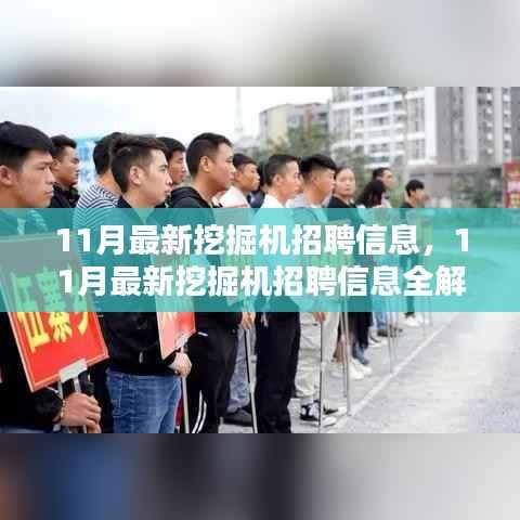 最新挖掘机招聘信息解析,把握11月求职黄金期