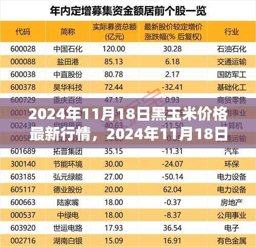 2024年11月18日黑玉米价格行情及市场走势分析与预测