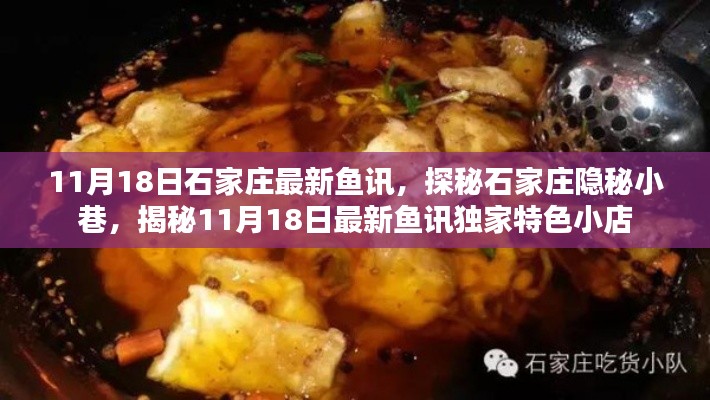 揭秘石家庄隐秘小巷,独家特色小店鱼讯探秘(最新更新,11月18日)