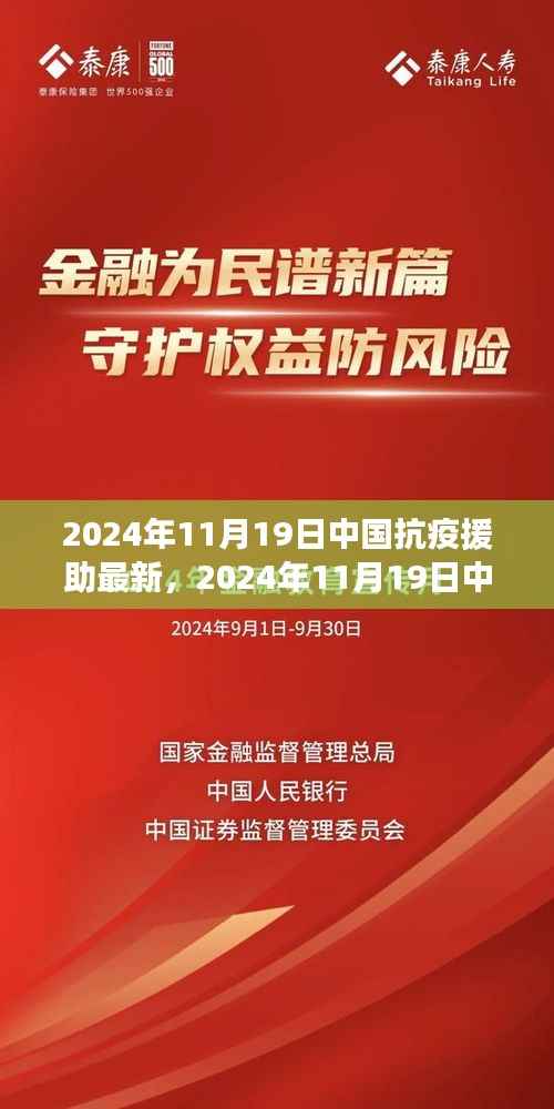 中国抗疫援助最新指南,入门到精通的步骤详解(2024年11月版)