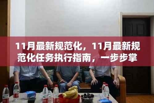11月最新规范化任务执行指南,逐步掌握技能,达成规范化目标