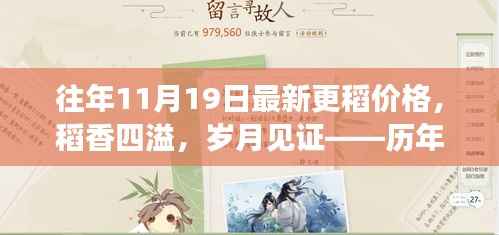 历年十一月十九日稻谷价格的深度剖析，稻香四溢，见证岁月变迁