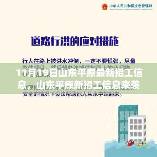 山东平原最新招工信息发布,抓住学习变化与机遇,成就美好未来!
