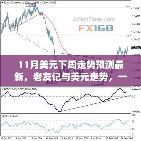 11月美元走势预测,老友记般的货币之旅