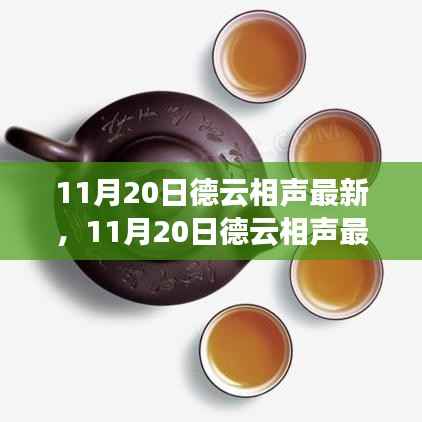 11月20日德云相声最新演出,传统与现代的完美融合之旅引爆观众反响!
