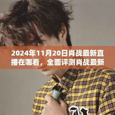 肖战直播盛典,观看体验、竞品对比与深度解析——2024年肖战最新直播全面评测