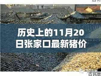 探秘张家口特色小店与猪价传奇,历史上的最新猪价回顾与揭秘!