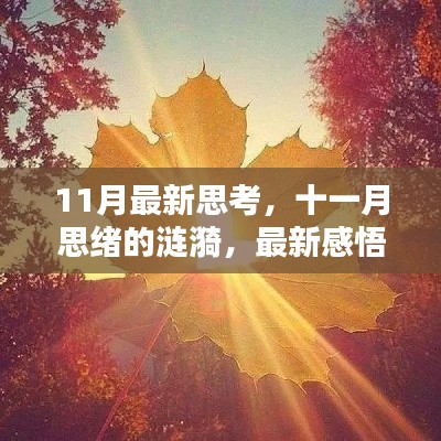 十一月思绪涟漪,最新感悟与启发