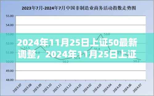 2024年11月25日上证50最新调整,影响及观点分析