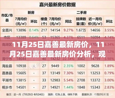11月25日嘉善房价最新动态,深度分析与观点解读