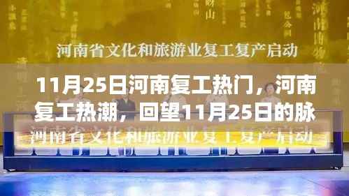 回望11月25日，河南复工热潮的脉动与影响