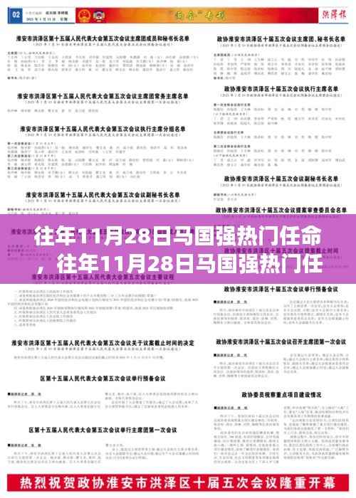 往年11月28日马国强热门任命全面解析,特性、体验、竞品对比及用户群体深度分析