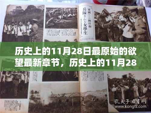 历史上的11月28日,最原始的欲望与温馨日常的交织