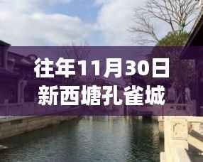 新西塘孔雀城隐秘小巷美食秘境探秘之旅，最新消息揭秘美食秘境的神秘面纱