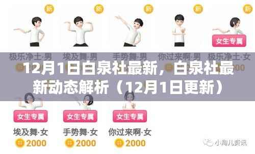 白泉社最新动态解析报告(12月1日更新版)