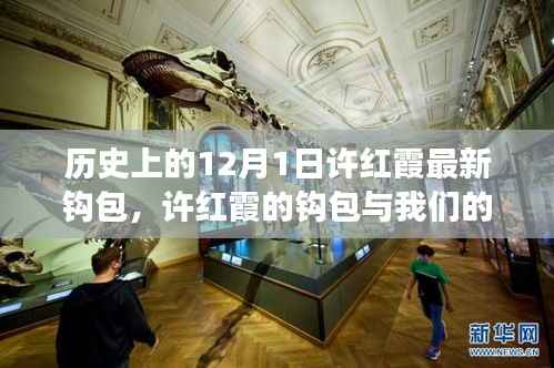 许红霞钩包与自然探索之旅,12月1日的静谧启程