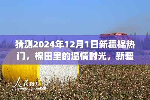 新疆棉温情时光,展望2024年棉田未来与我们的故事