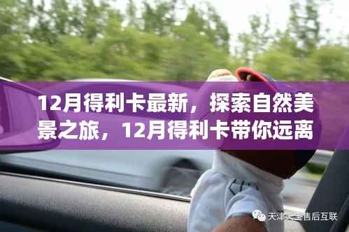 花开无言 第12页